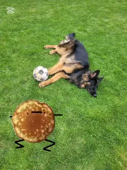 I'm pancake 