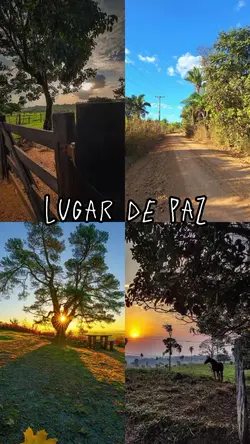 Lugar de paz