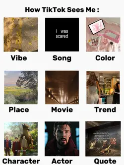 How Tiktok Sees Me