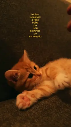 fase bebê