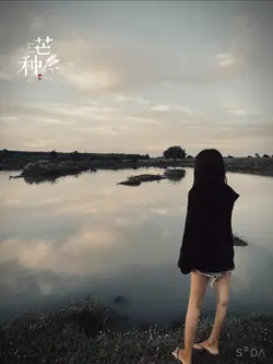 ស៊ូតសេដ