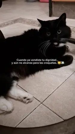 Every time I wake up