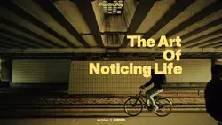daily life cinematic