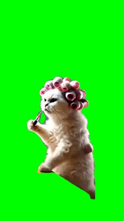 cat makeup meme
