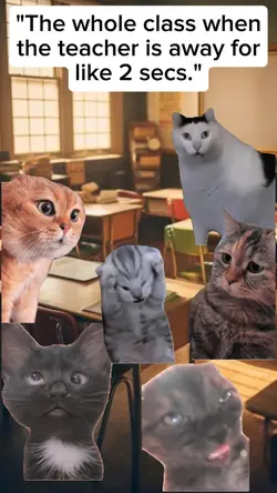 the whole class
