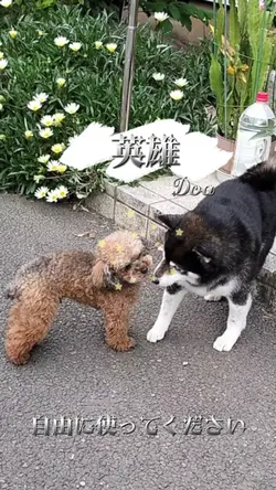 英雄