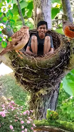 sangkar burung