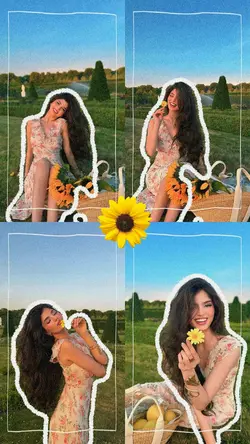 SUNFLOWER LOVER