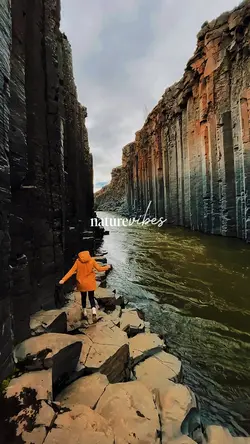 Nature Vibes❤️