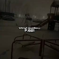 Vinyl audio p.622🎧