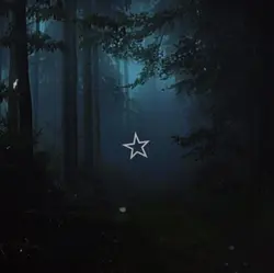 Forêt paysage 