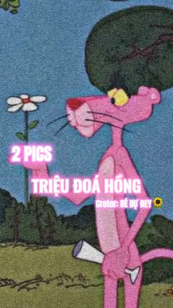 2 PICS