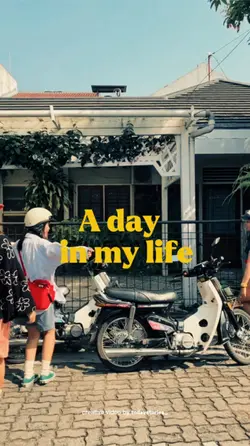 mini vlog