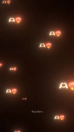 TikTok / ysuflyrs