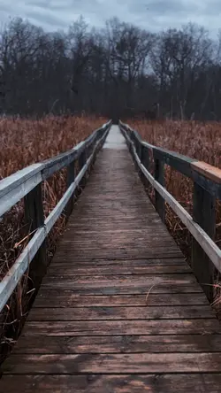 Bridge