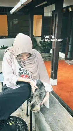 we're looking back