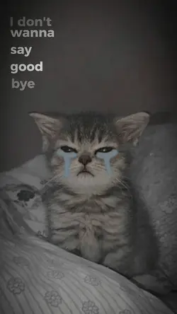 I don't wanna say