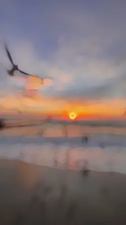Tiktok / lyricsmemo
