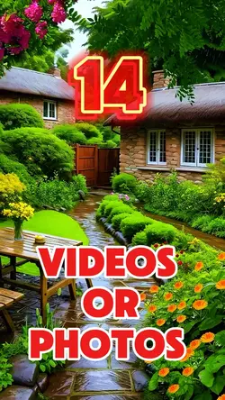 14 videos or photos 