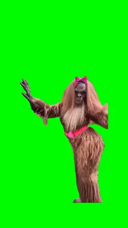 Gorilla Dance