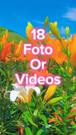 18 Foto Slides