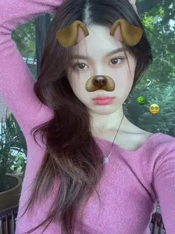 dog filter
