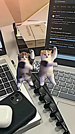 JJ 2 KUCING JOGET