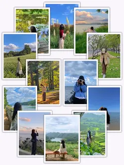 12PicFrame Aesthetic
