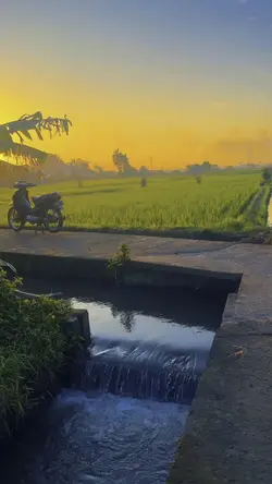 Sunrise Vibes 