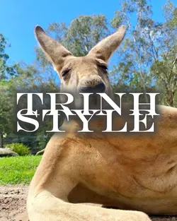 TRINH x STYLE