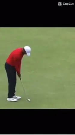 Tiger woods beers
