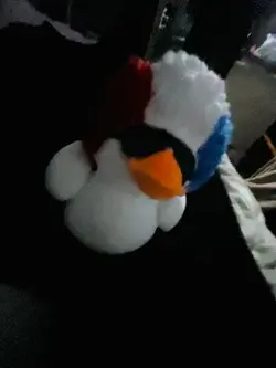 …