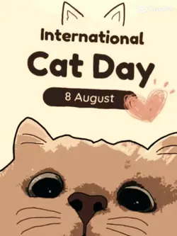 August 8th
