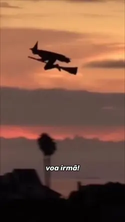 voa irmã 