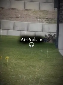 AirPods in