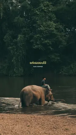 ใช้ใจฟังดู