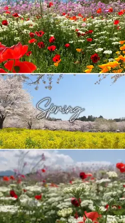 Spring, 3 screen 
