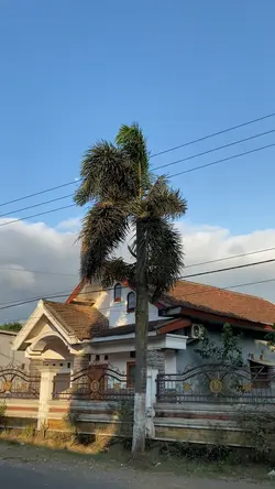 WITWITAN DO NGINGET