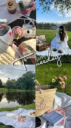 Happy Tuesday 