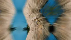 11 clip aesthetic