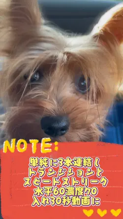 単純に動画3本連結し軽くエフェクト入れる