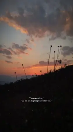 mẫu hmoob 