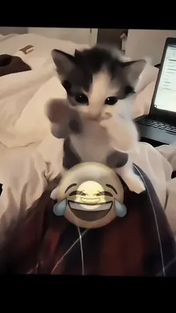 JUST ADD YOUR CLIP