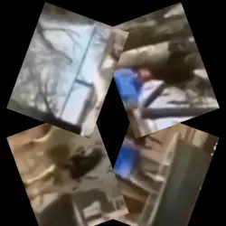Surprise 