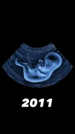 2011 vs 2025