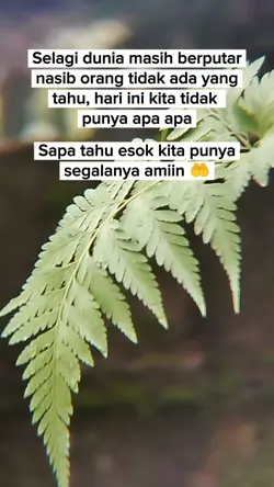 fb pro fyp