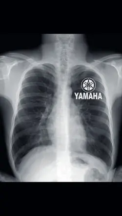LOGO BISA DIGANTI