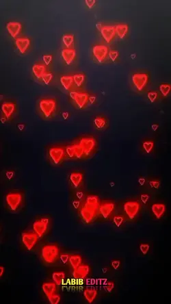 Dance Dance 