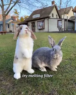 melting 