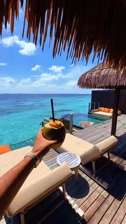 Vlog